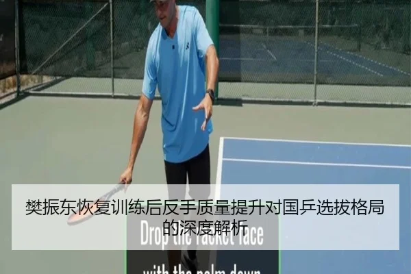 樊振东恢复训练后反手质量提升对国乒选拔格局的深度解析